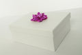 🎀 Mini Mystery Kids Box